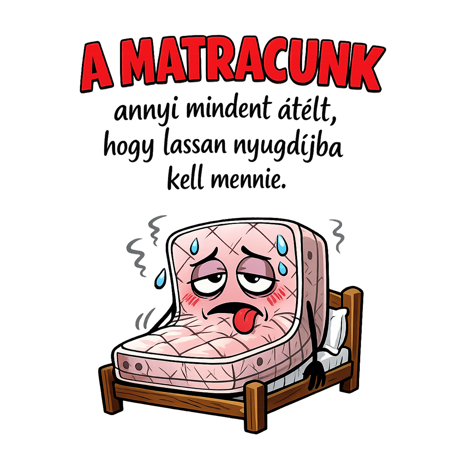 A matracunk annyi mindent átélt - MAGYAR.webp